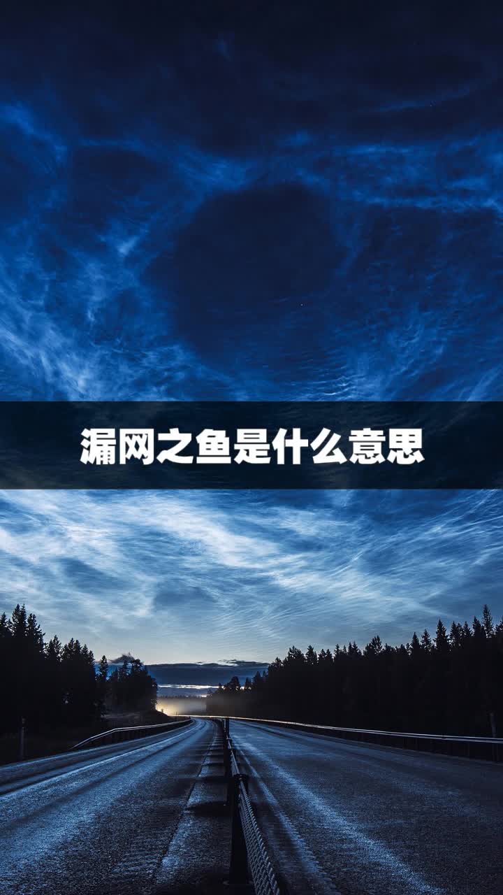 漏网之鱼是什么意思