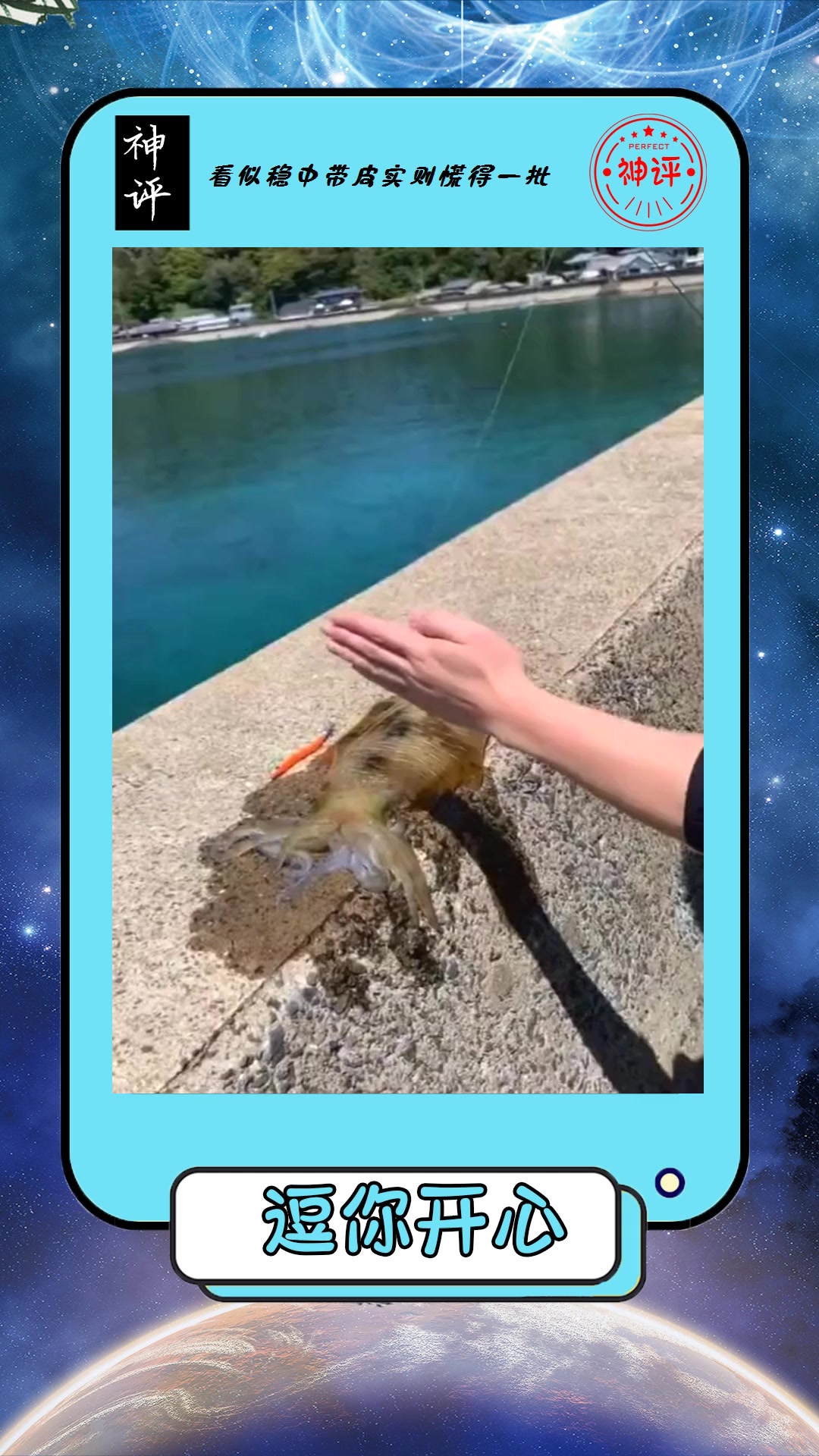 #搞笑#日本人吃墨鱼要先把脑浆子打出来真是太残忍了
