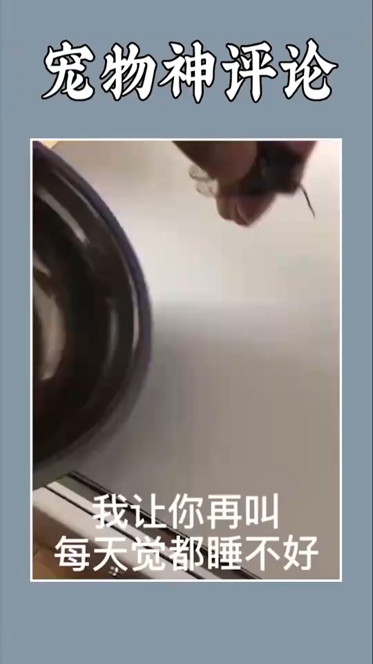 #搞笑视频#让你叫的我每天都睡不好觉