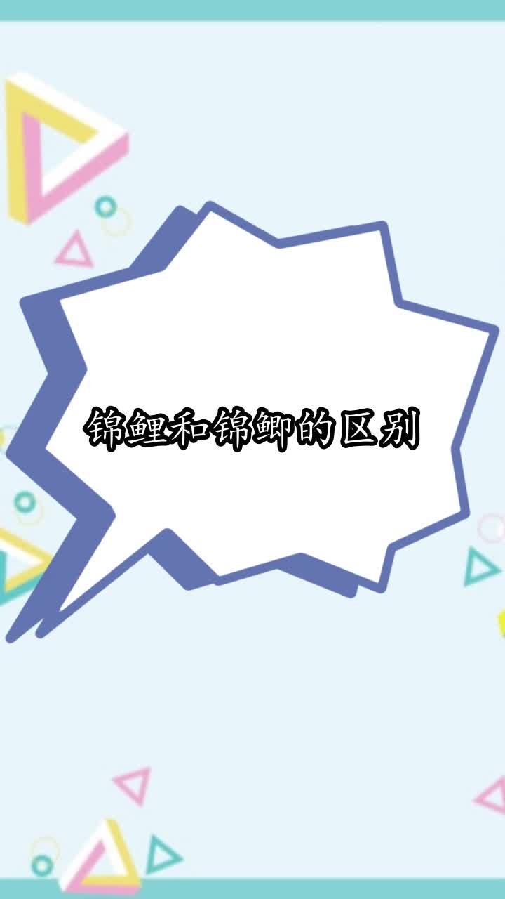 锦鲤和锦鲫的区别,你学会了吗
