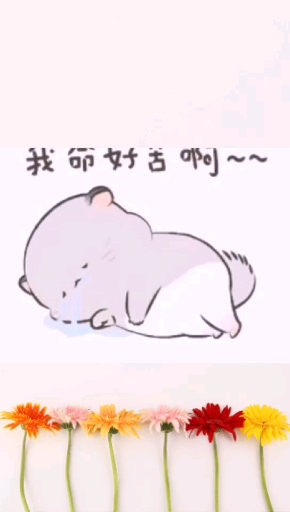 #可爱表情包#你让老公先特先特你