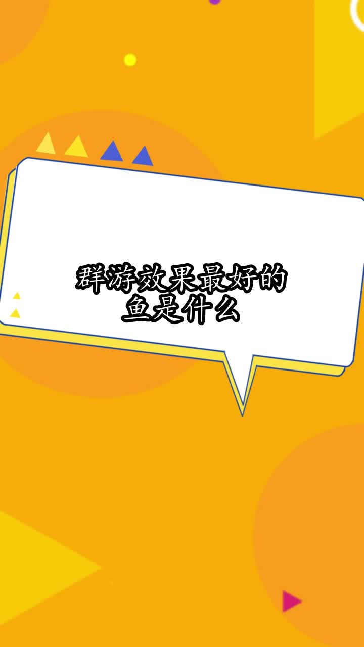 群游效果最好的鱼是什么,你明白了吗