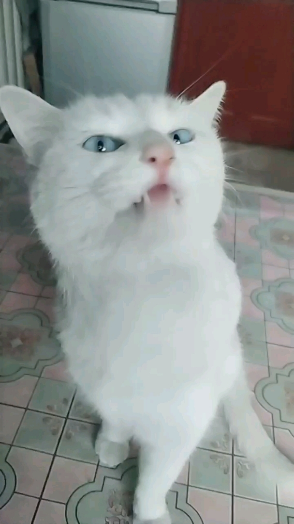 我怎么这么好看