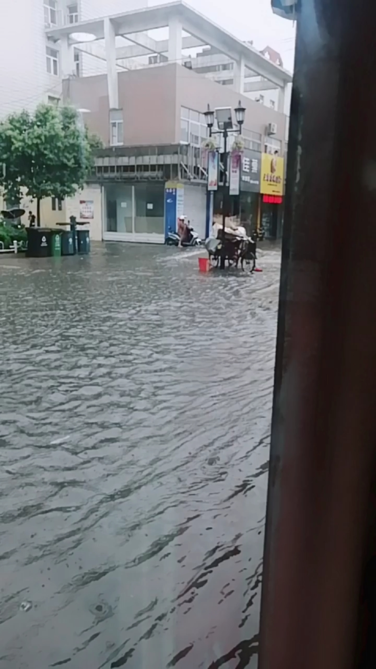 下水道的美人鱼