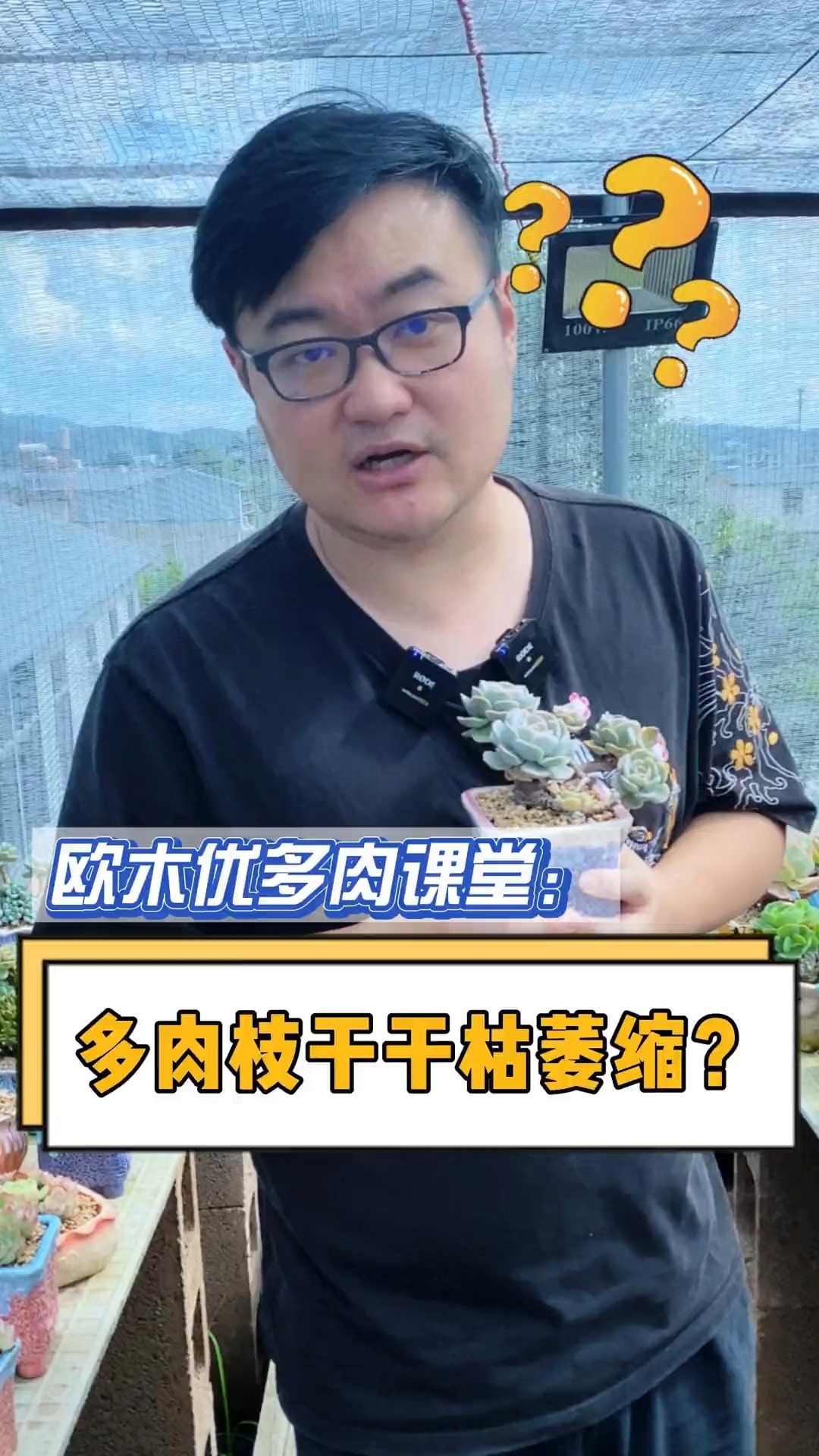 #有一种可爱叫多肉!#多肉的枝干出现干枯萎缩的现象,是什么原因造成的呢?这个视频告诉你#多