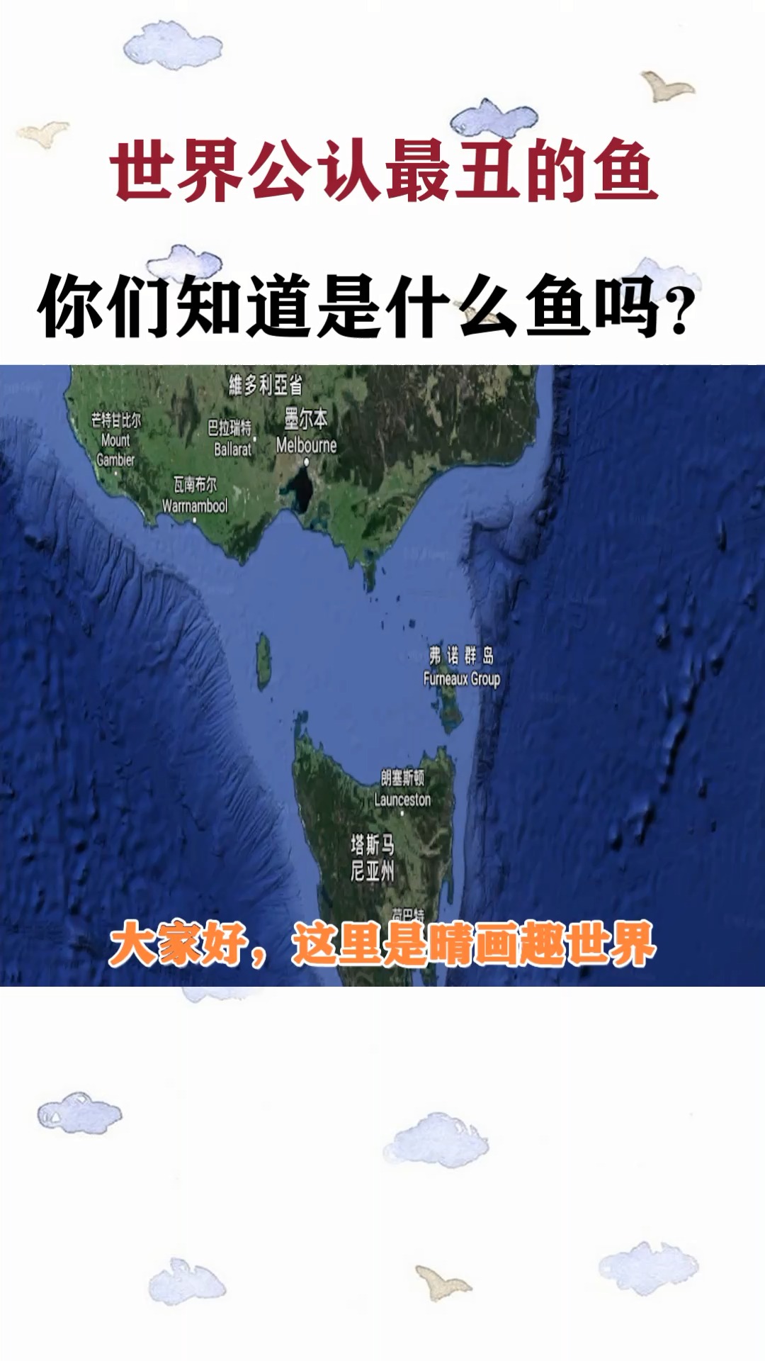 世界公认最丑的鱼——水滴鱼