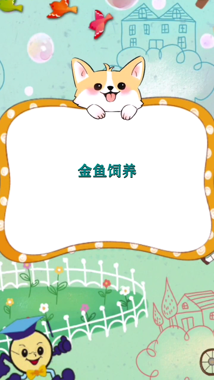 金鱼饲养    