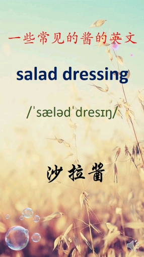 #英语#一些常见的酱的英文