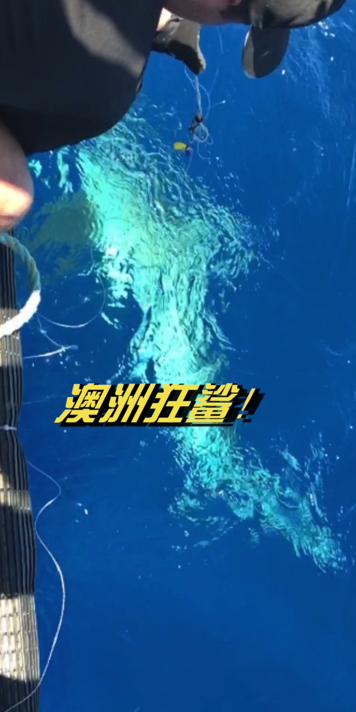 分享视频