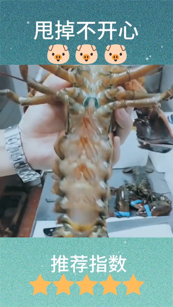 杀澳洲龙虾的第一步,必须这样做不然不干净,真是涨知识了!