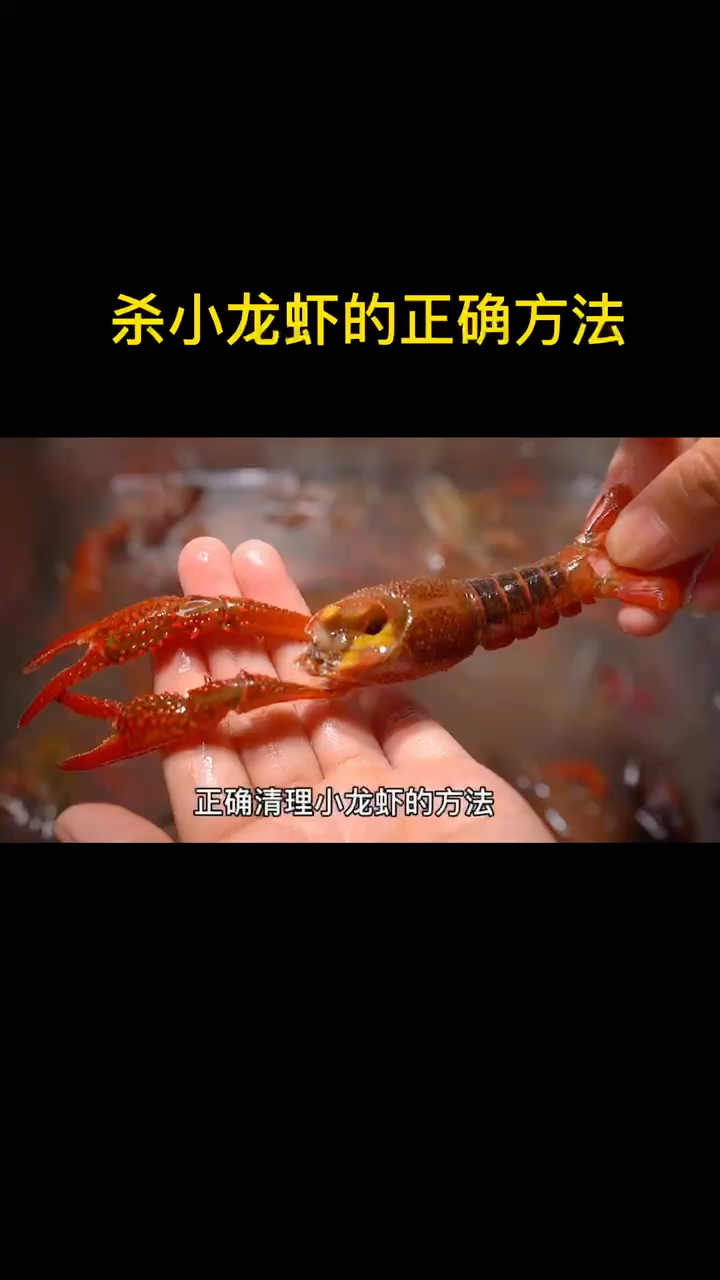杀小龙虾的正确方法  