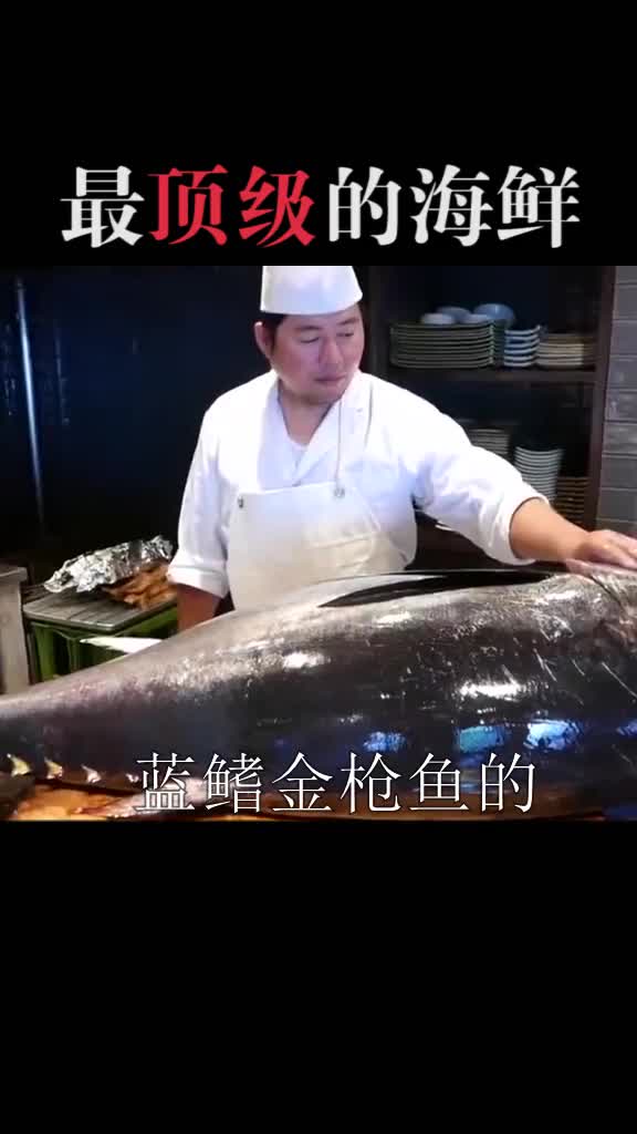 最顶级的海鲜,这仨我都没吃过!三文鱼,金枪鱼,涨知识,热门