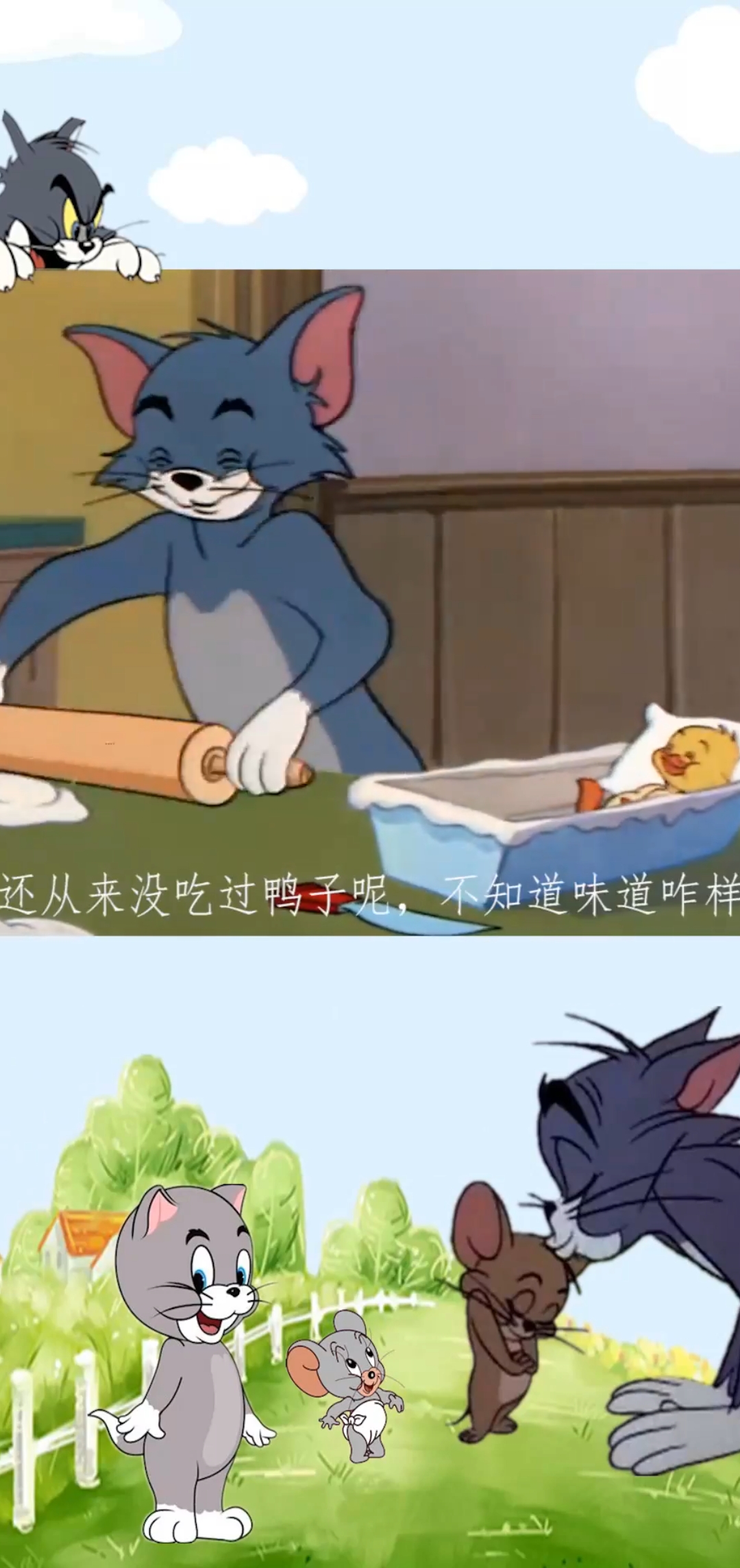 汤姆无微不至的照顾小鸭子,却居心不良!