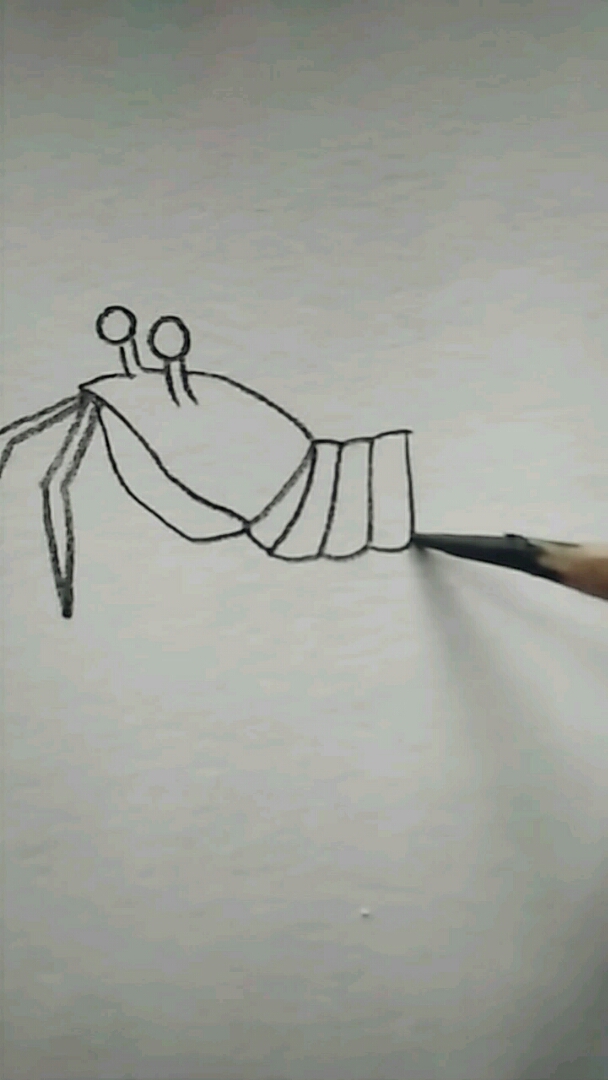 教孩子们画皮皮虾