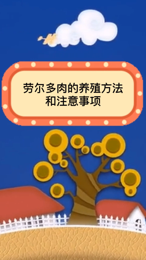 劳尔多肉的养殖方法和注意事项