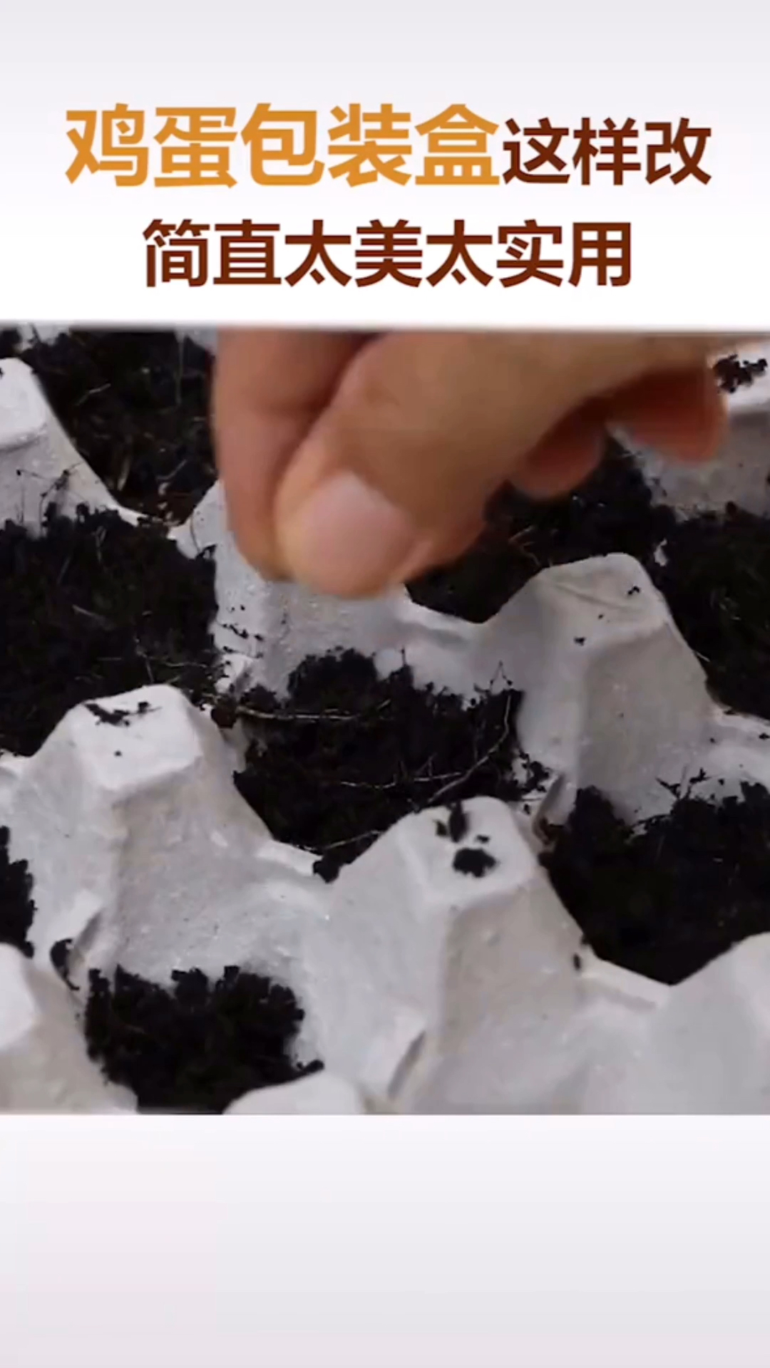 鸡蛋包装盒这样弄太漂亮了