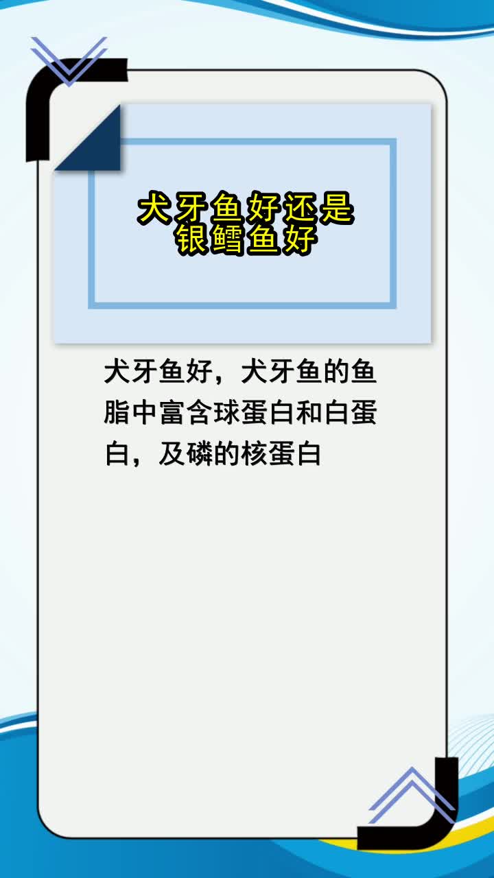 犬牙鱼好还是银鳕鱼好,你知道了吗