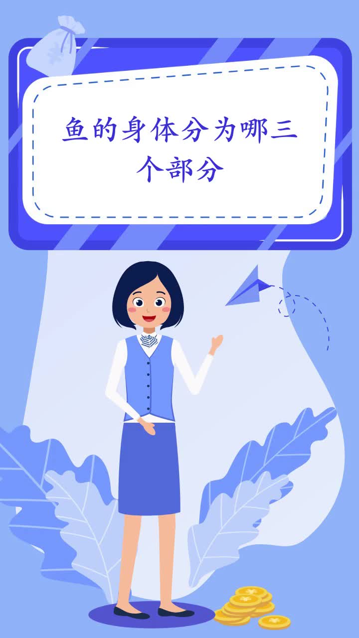 鱼的身体分为哪三个部分