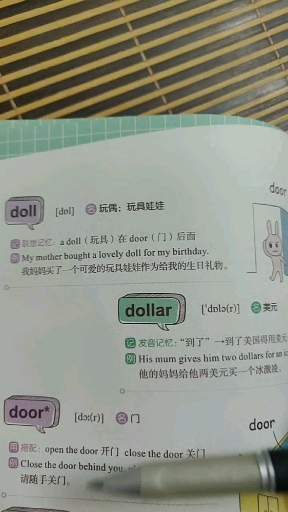 娃娃,美元,门,你学会了吗?
