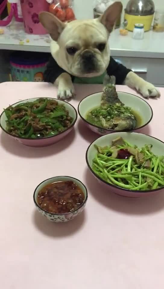 狗肉火锅做法