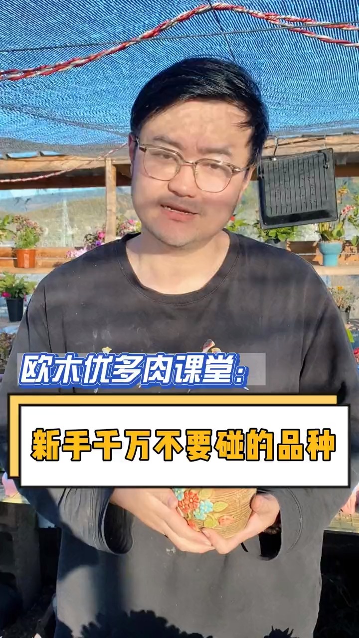 新手千万不要碰的几个品种,你中招了吗?#多肉#多肉植物#多肉养护#