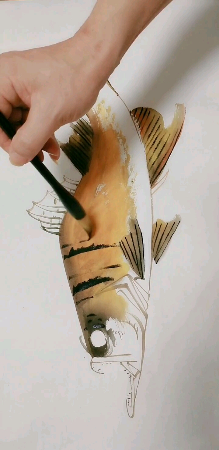#我要上热门#写实鳜鱼的画法