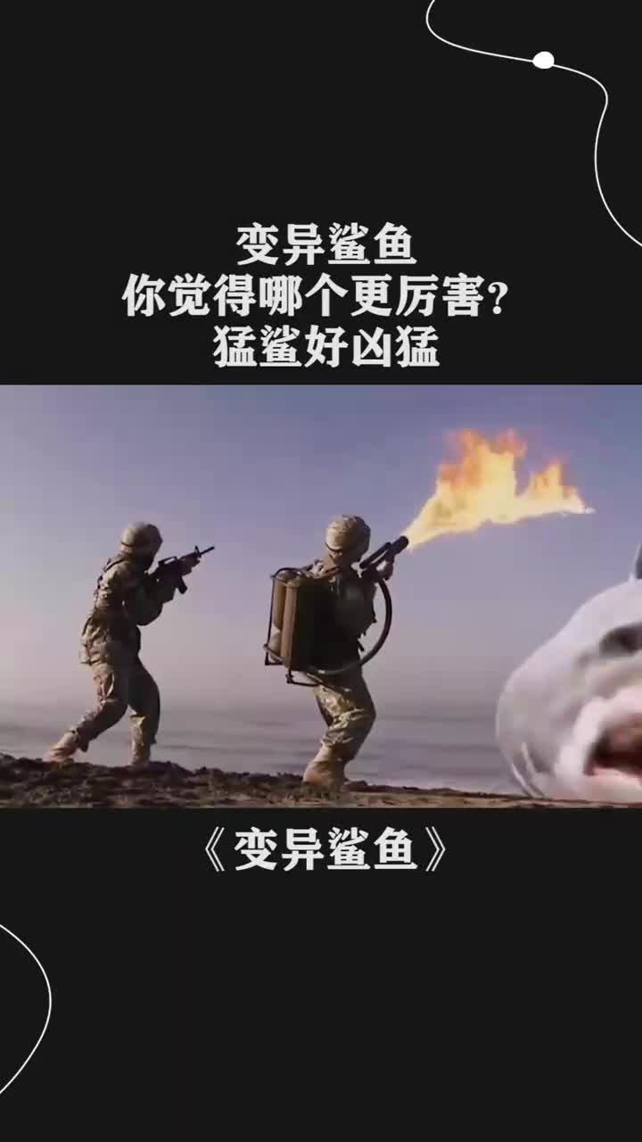 变异鲨鱼,你觉得哪个更厉害?猛鲨好凶猛