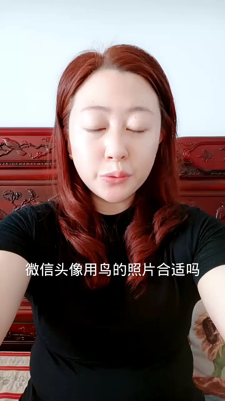 微信头像用鸟的照片合适吗?