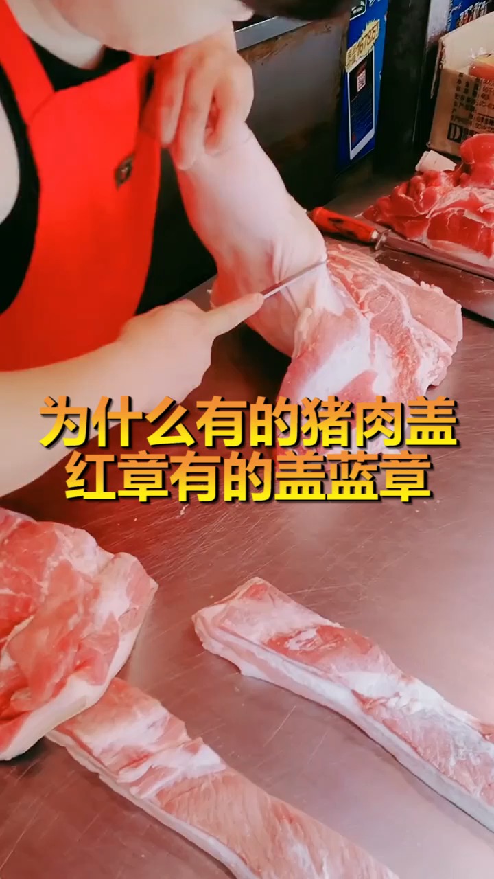 #奇趣#为什么有的猪肉盖红章有的盖蓝章,原来是这么区分的,这么多年都吃错了!