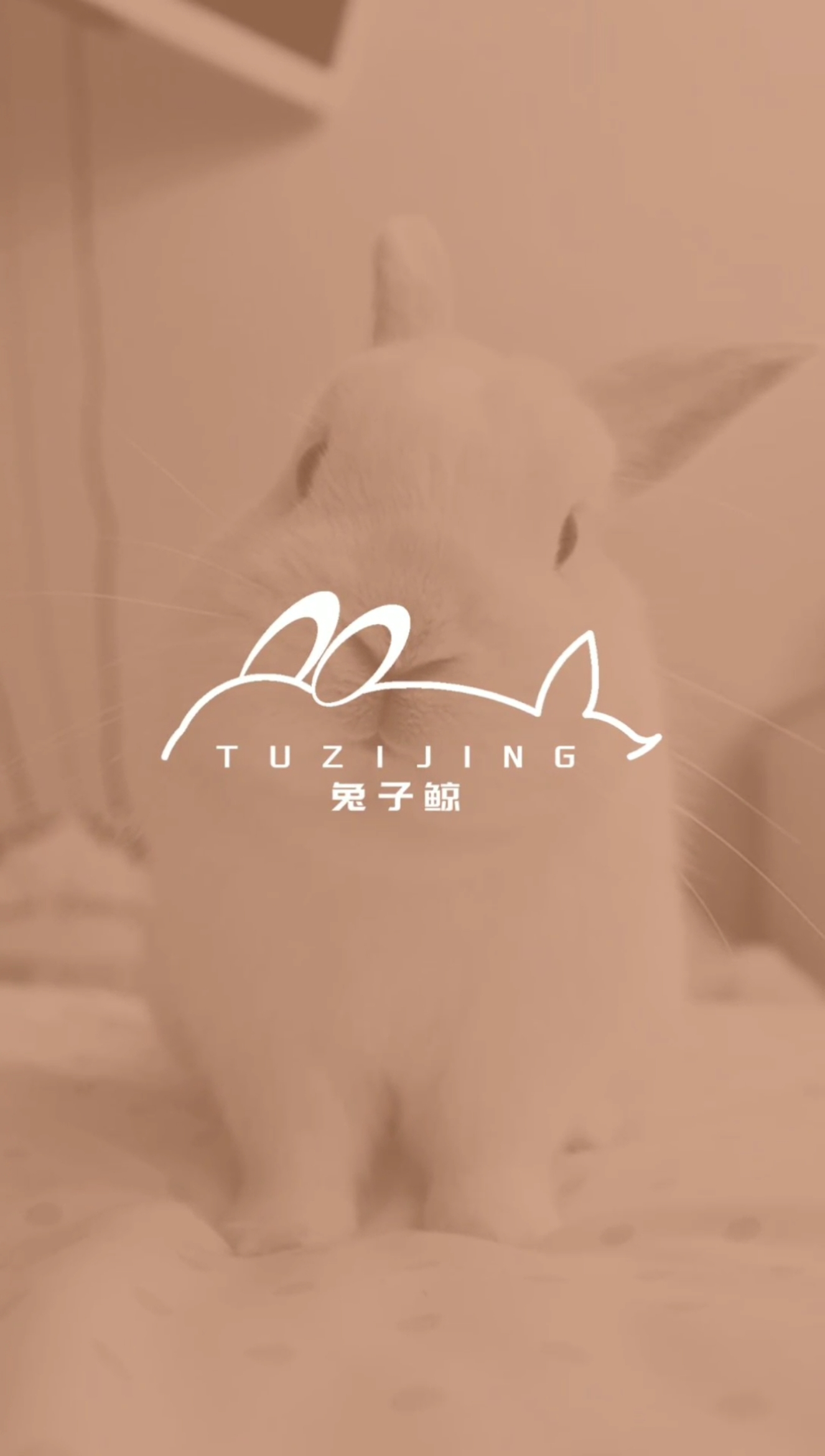 #这就是我的logo#这个创意如何?