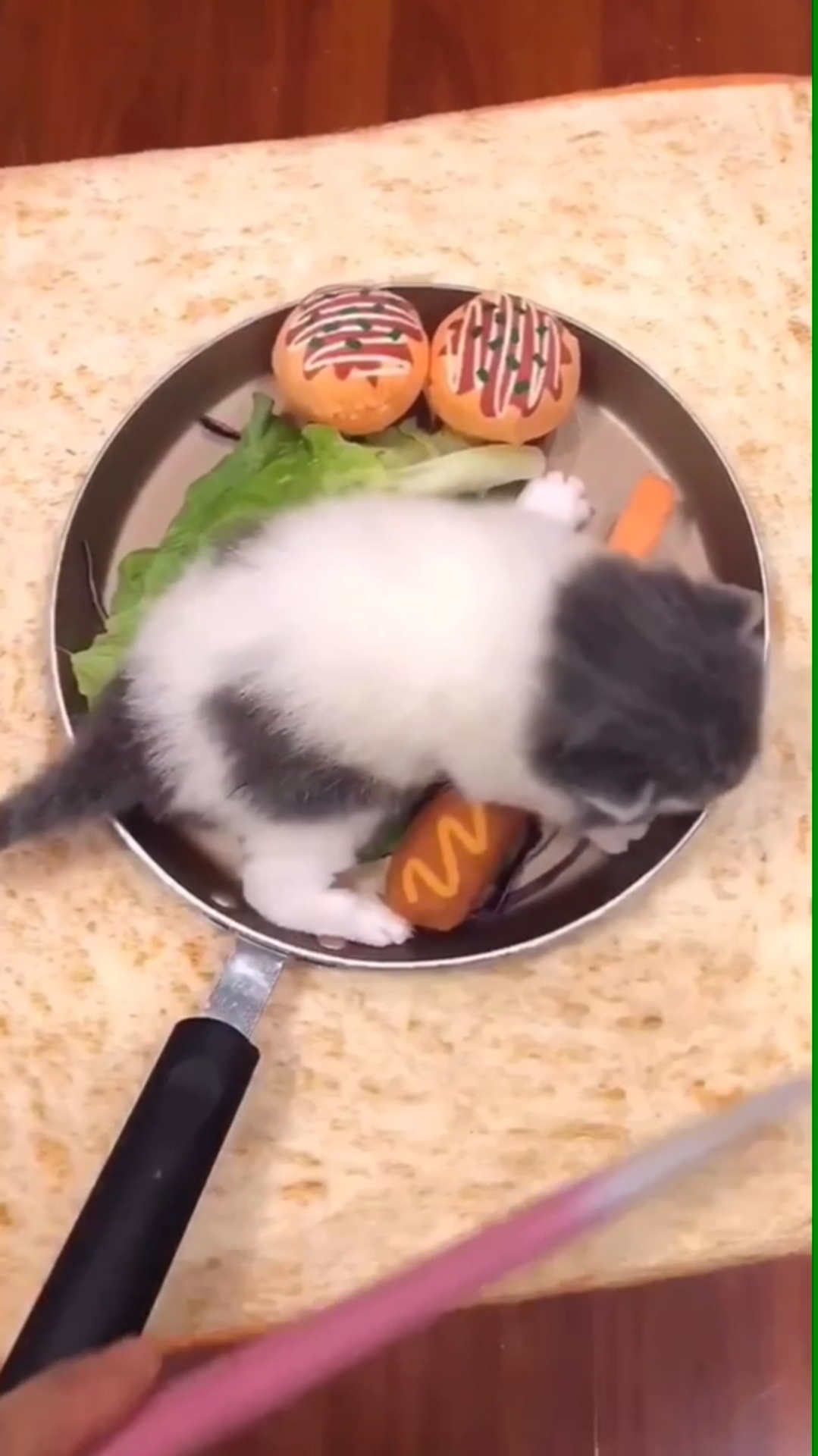 #我家萌宠成精了#你们的猫肉肉汤炖好了 各位客官要不要来一份?