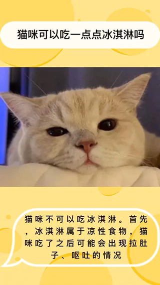 猫可以吃一点点冰激凌吗?