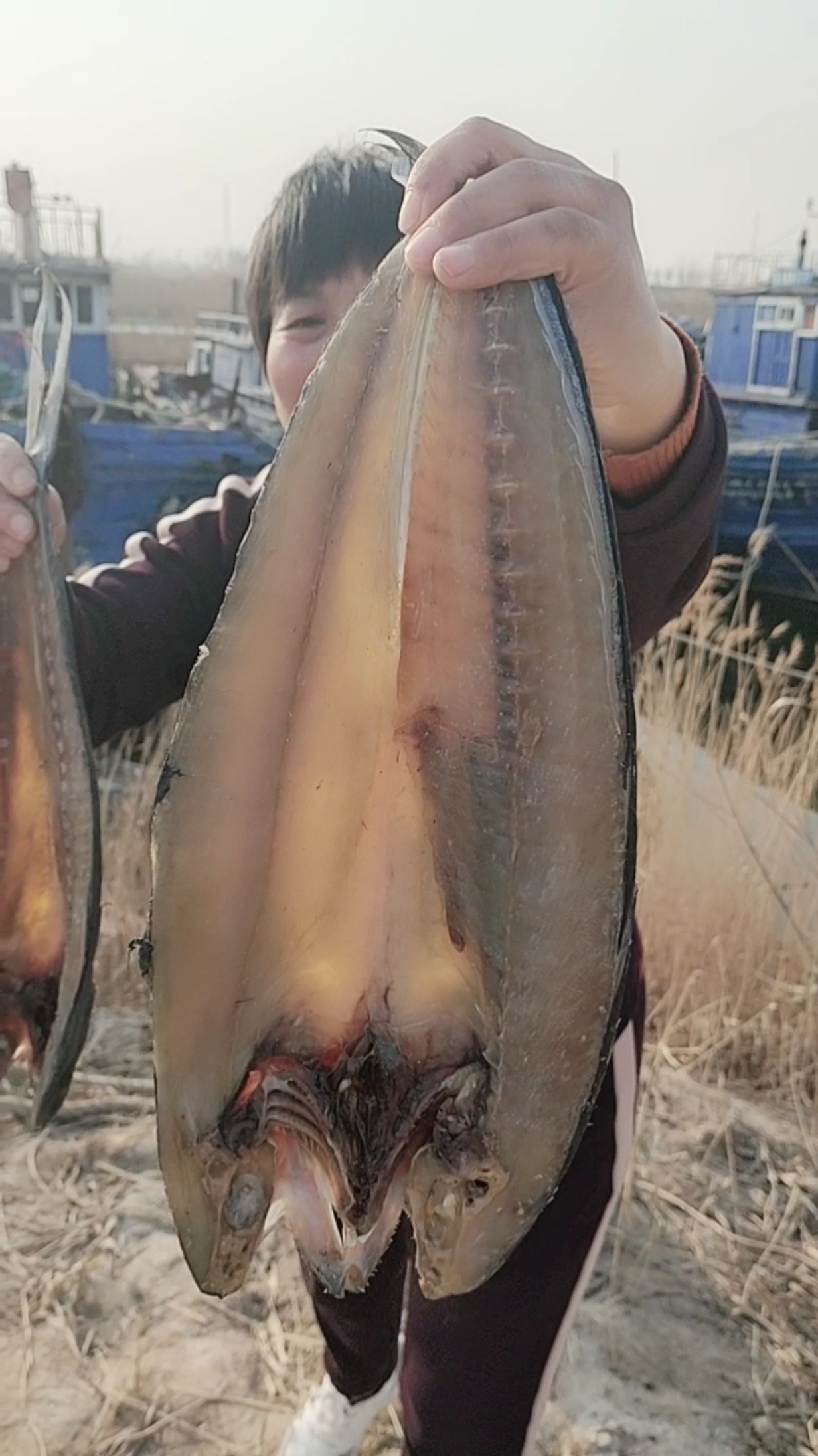#干鲜海产品#自家腌制好的咸鲅鱼超好吃