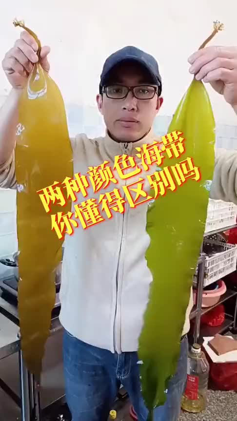 市面上有两种颜色的海带,高手带你分辨,哪种才是新鲜的!