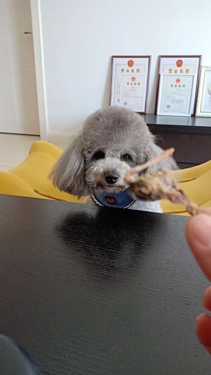也不知道这个肉干能看住不