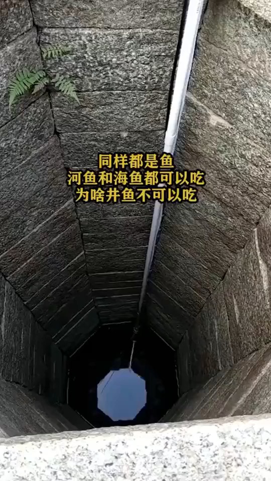 空标题....