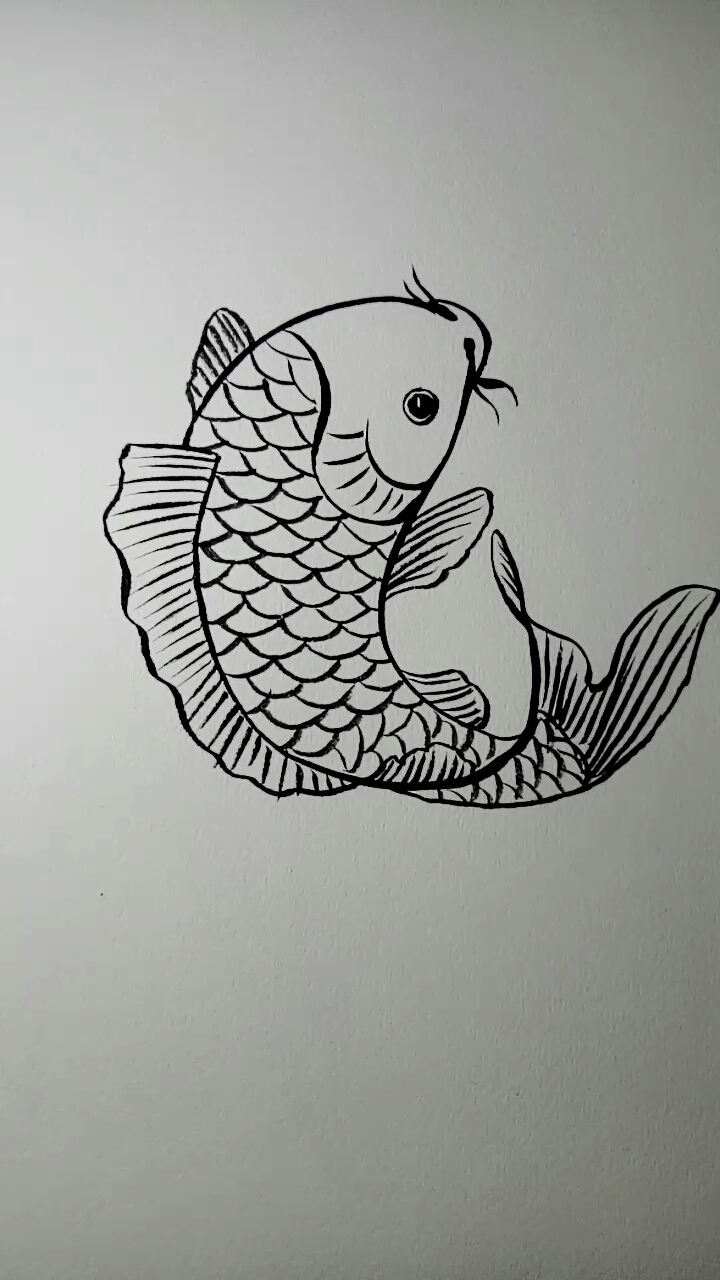 #你喜欢的样子我都有#鲤鱼白描画法教程