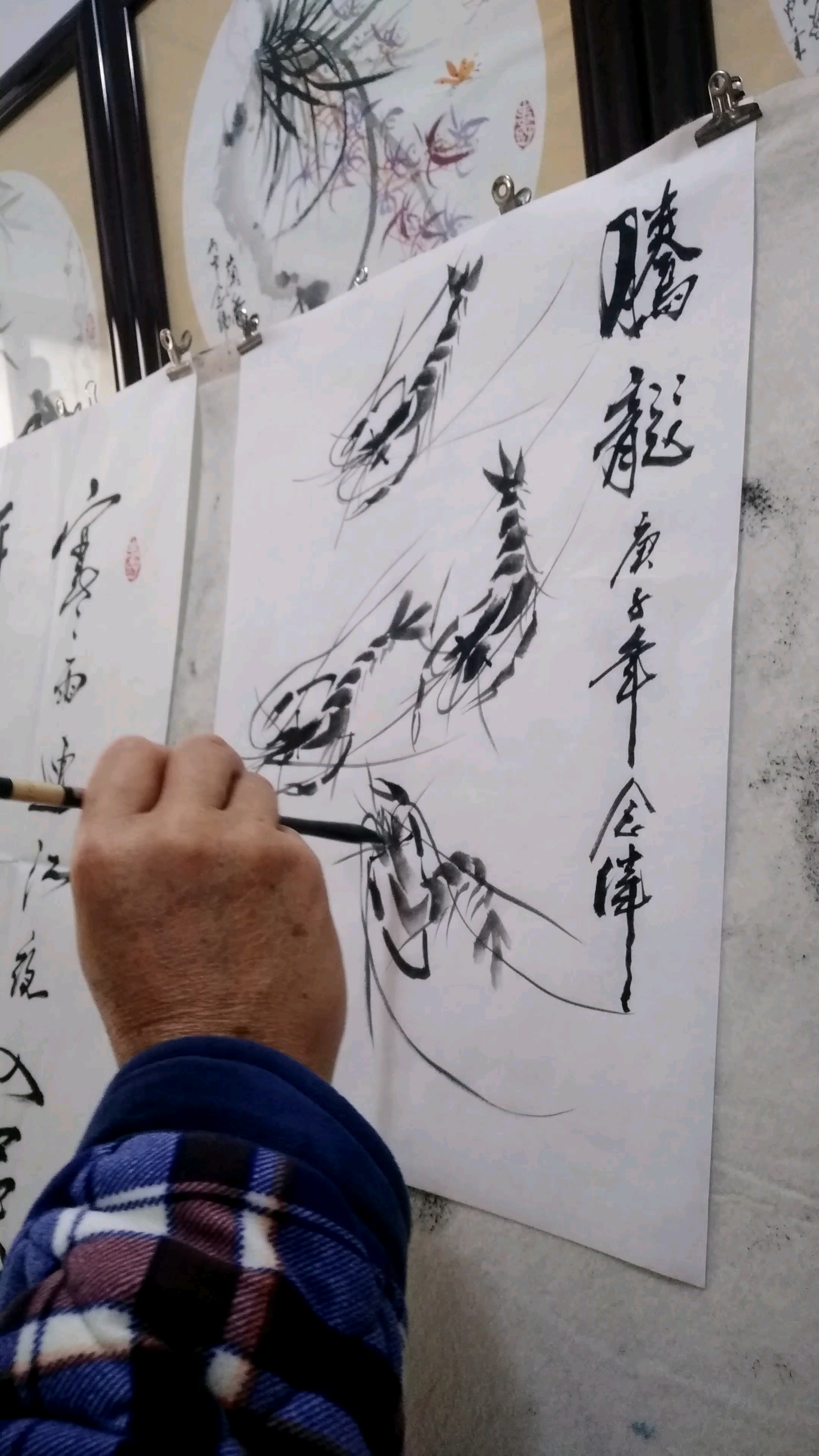 书画家陈念伟写意画,虾,腾龍。