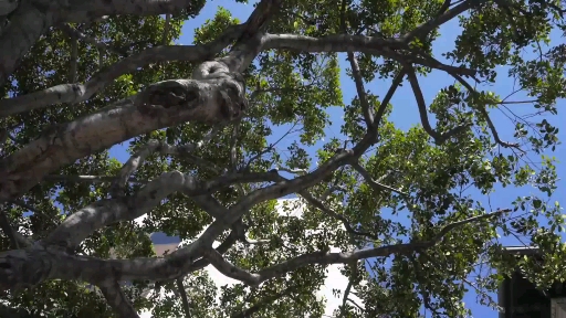 今天来教你们做泡芙