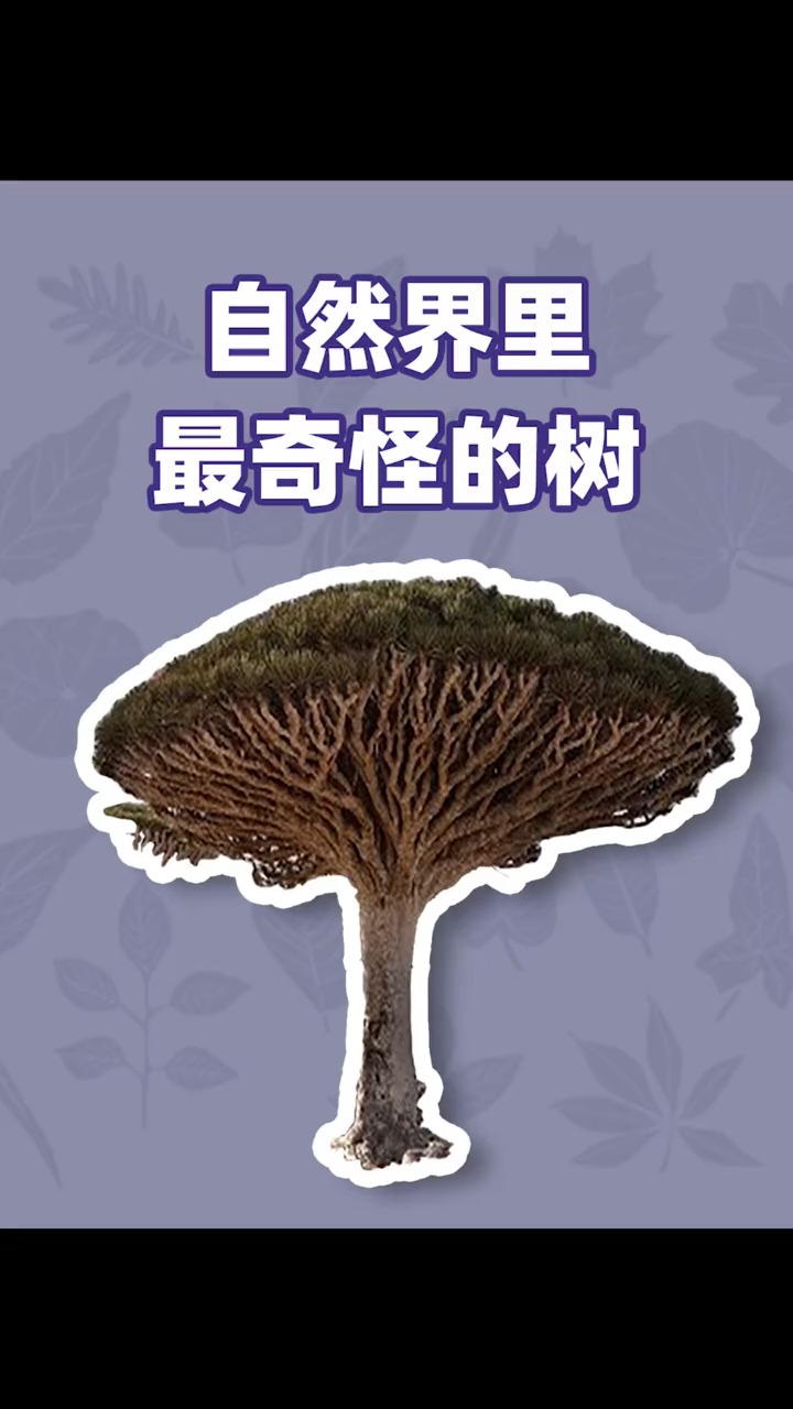 #植物#自然界里长相最奇怪的树