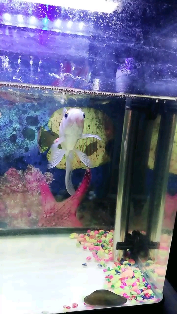 分享视频