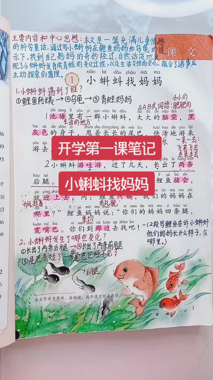 小蝌蚪找妈妈课堂笔记二年级 一年级 开学  