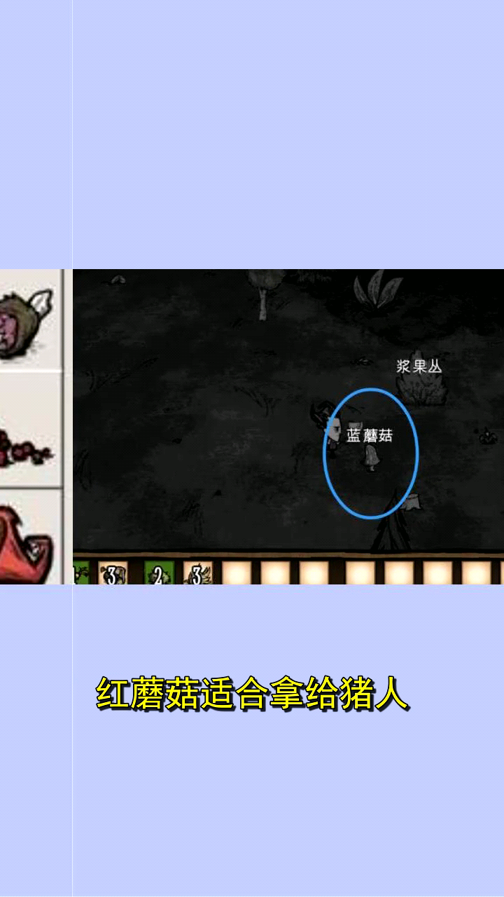 饥荒蘑菇有什么用呢