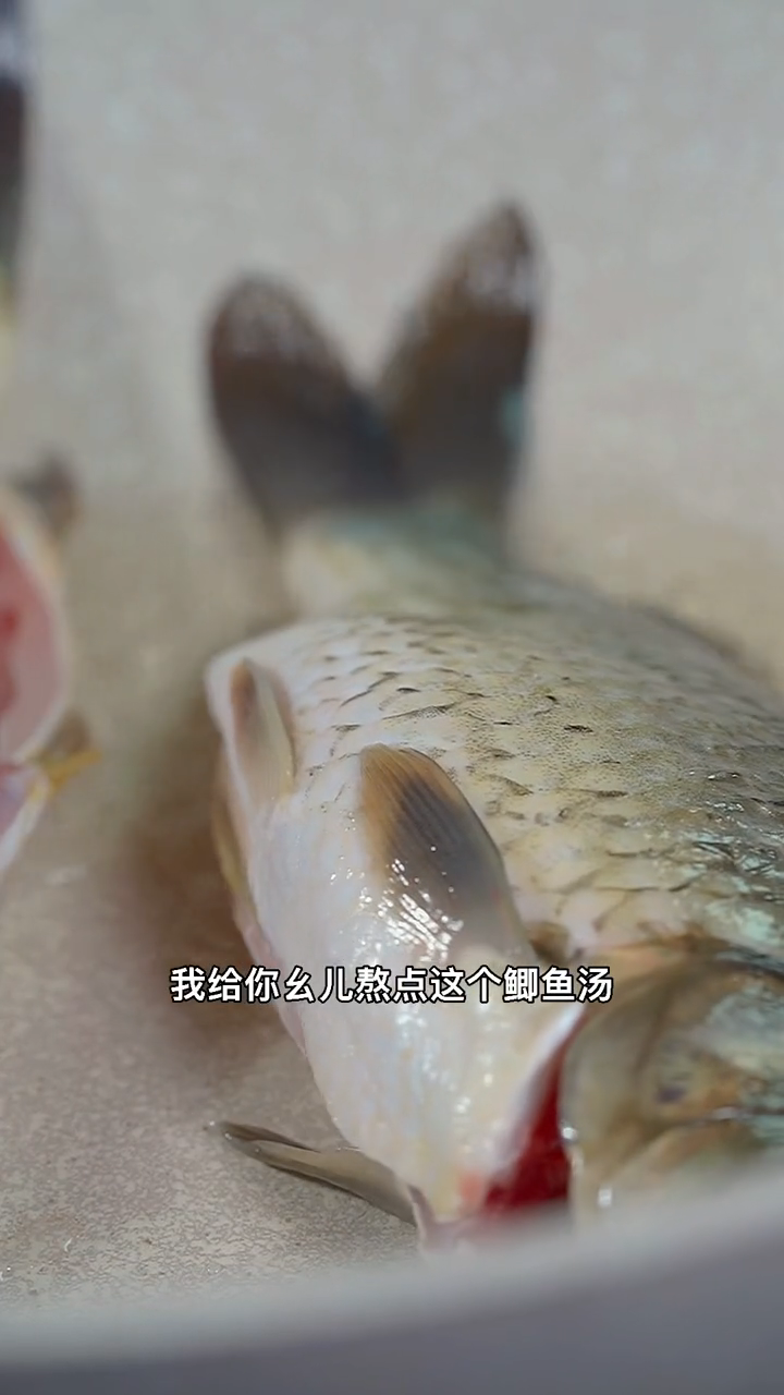 清炖鲫鱼汤的做法