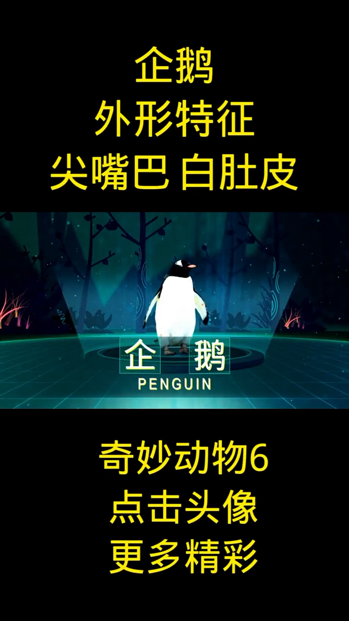 企鹅的特点和外貌  