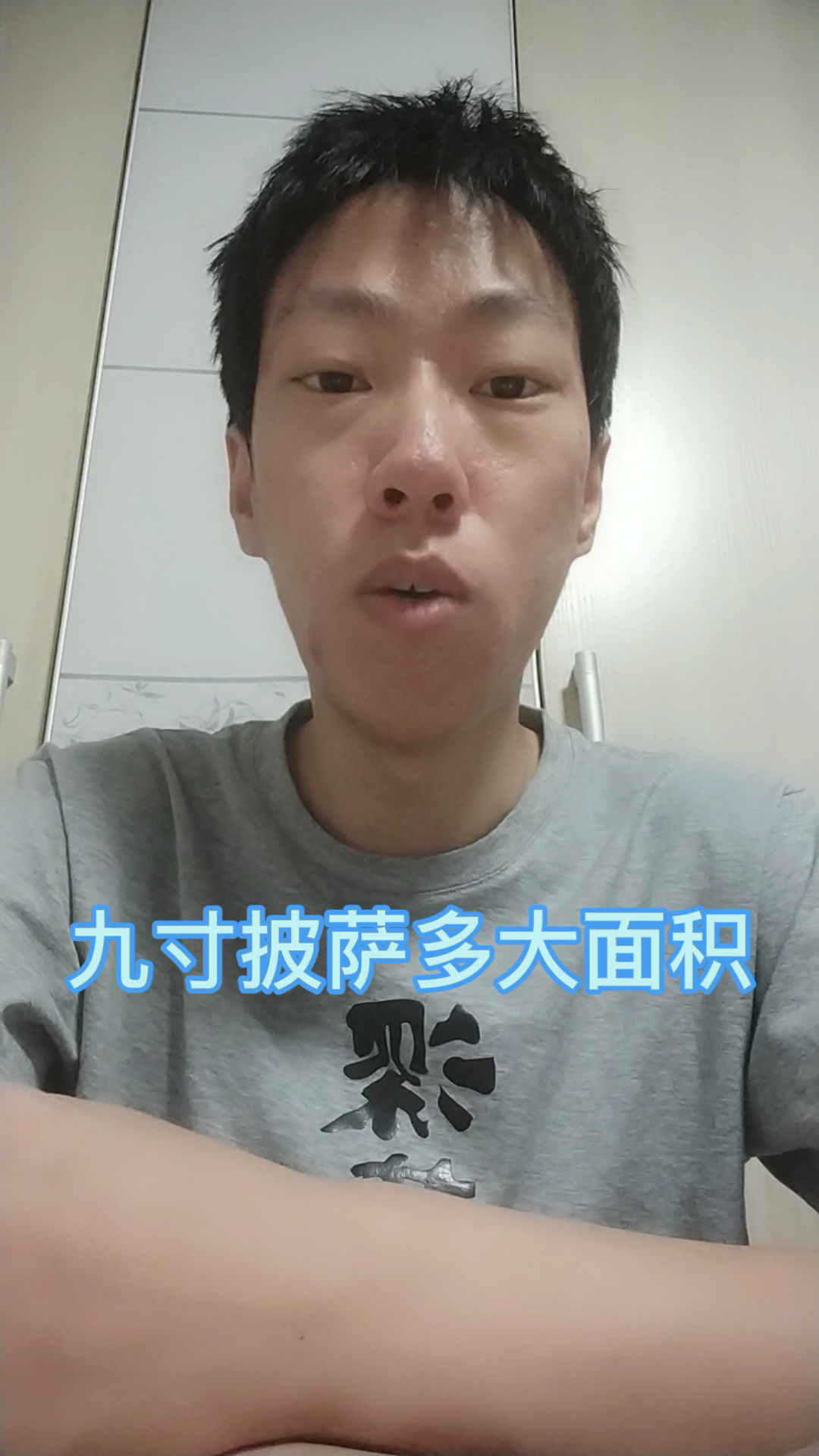 9寸披萨多大面积