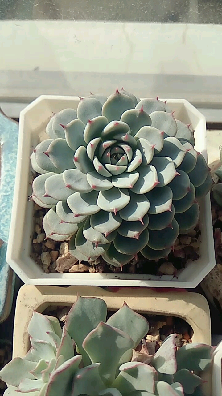 特别喜欢的