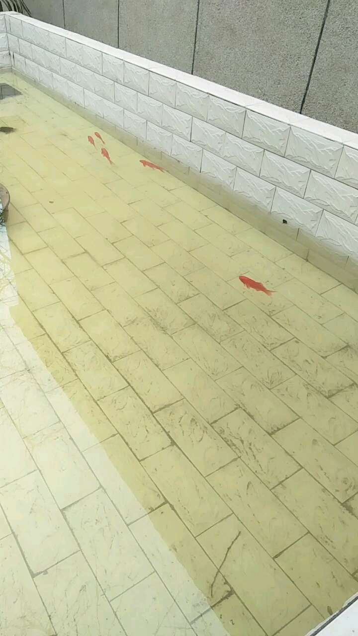 分享视频