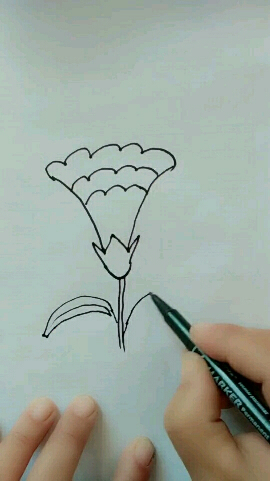 鸡冠花简笔画。