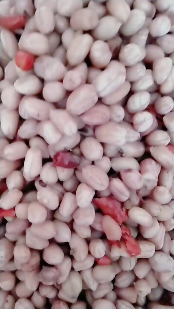 精美素凉菜